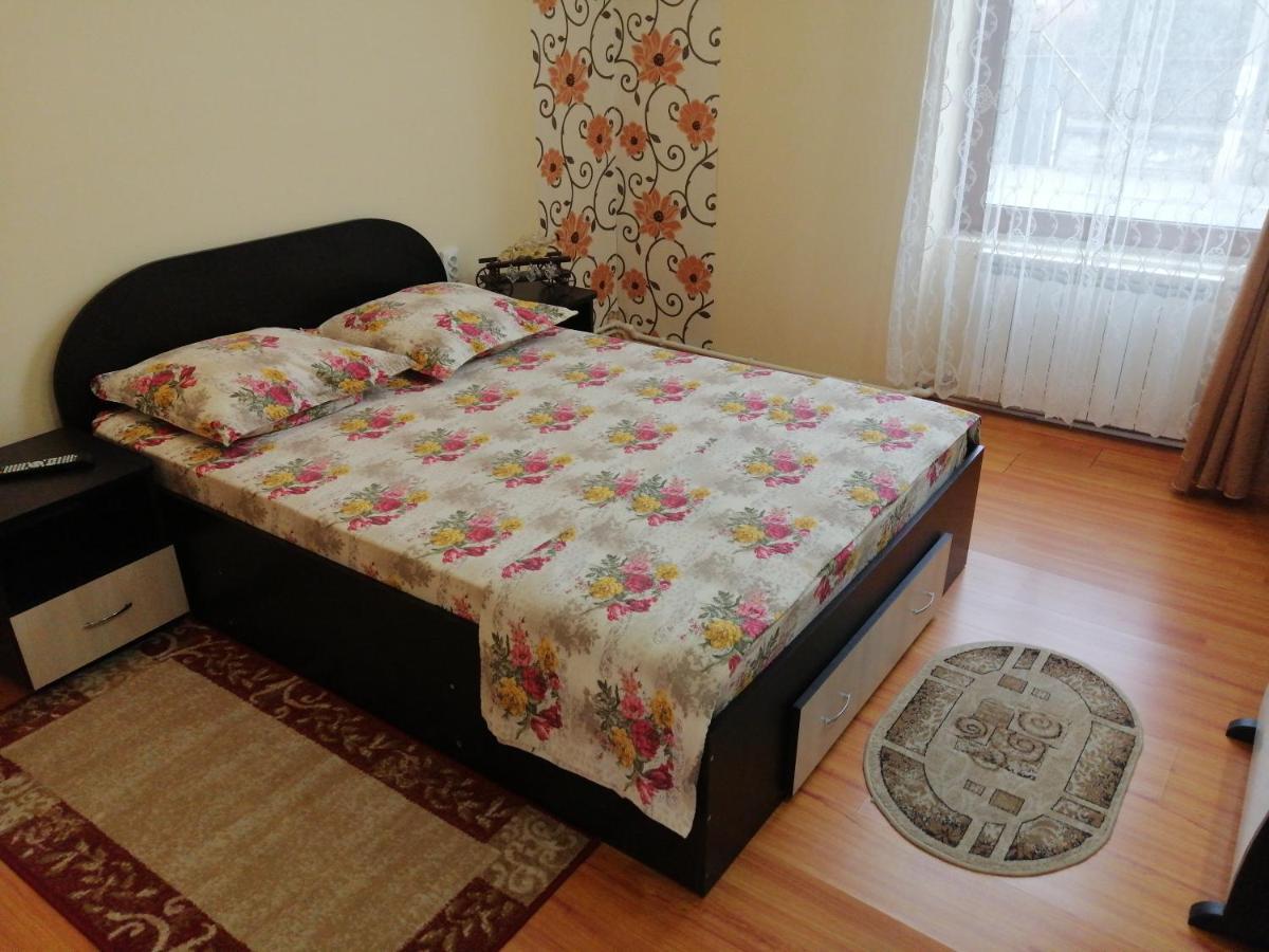 Casa Ovi Si Simo Hotel Hateg Luaran gambar