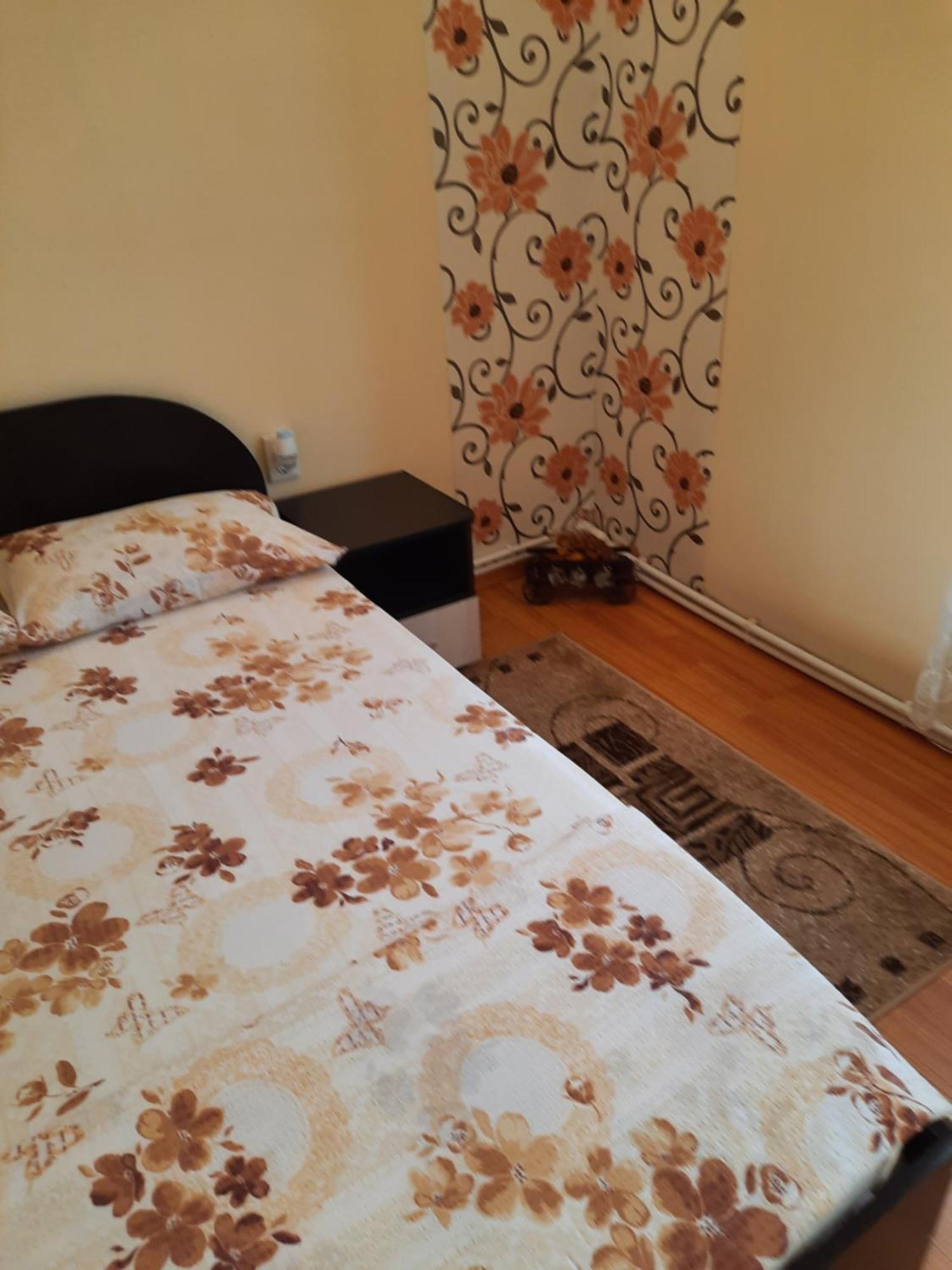 Casa Ovi Si Simo Hotel Hateg Bilik gambar