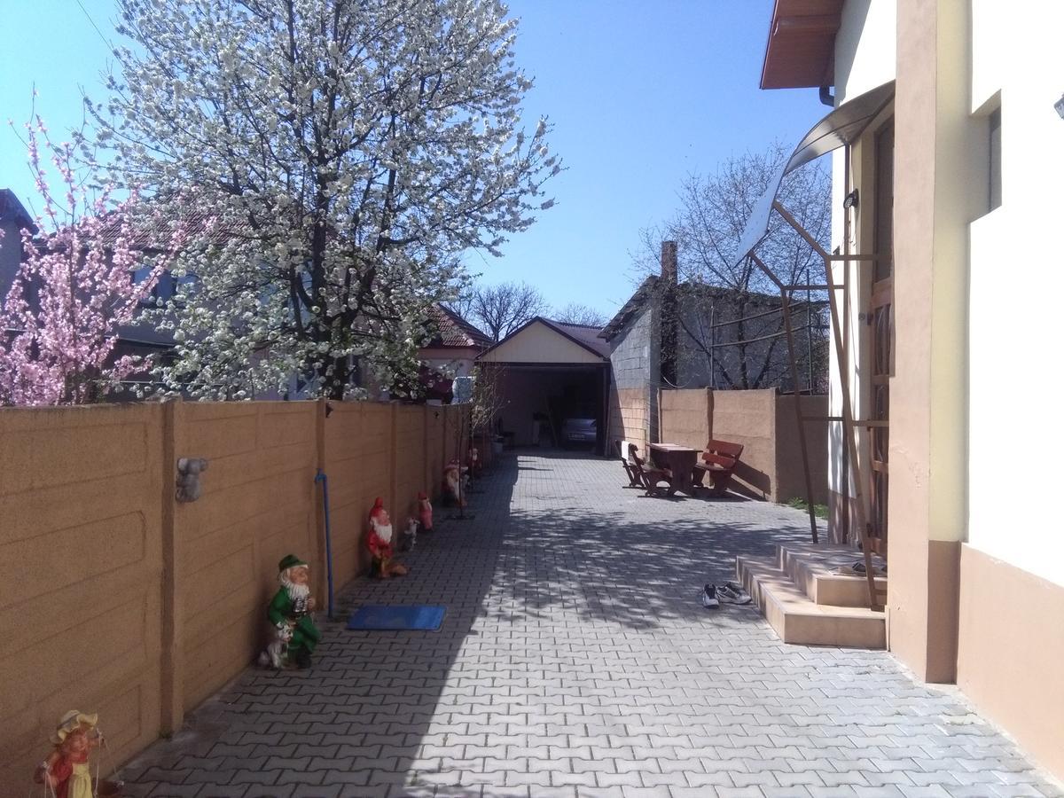 Casa Ovi Si Simo Hotel Hateg Luaran gambar