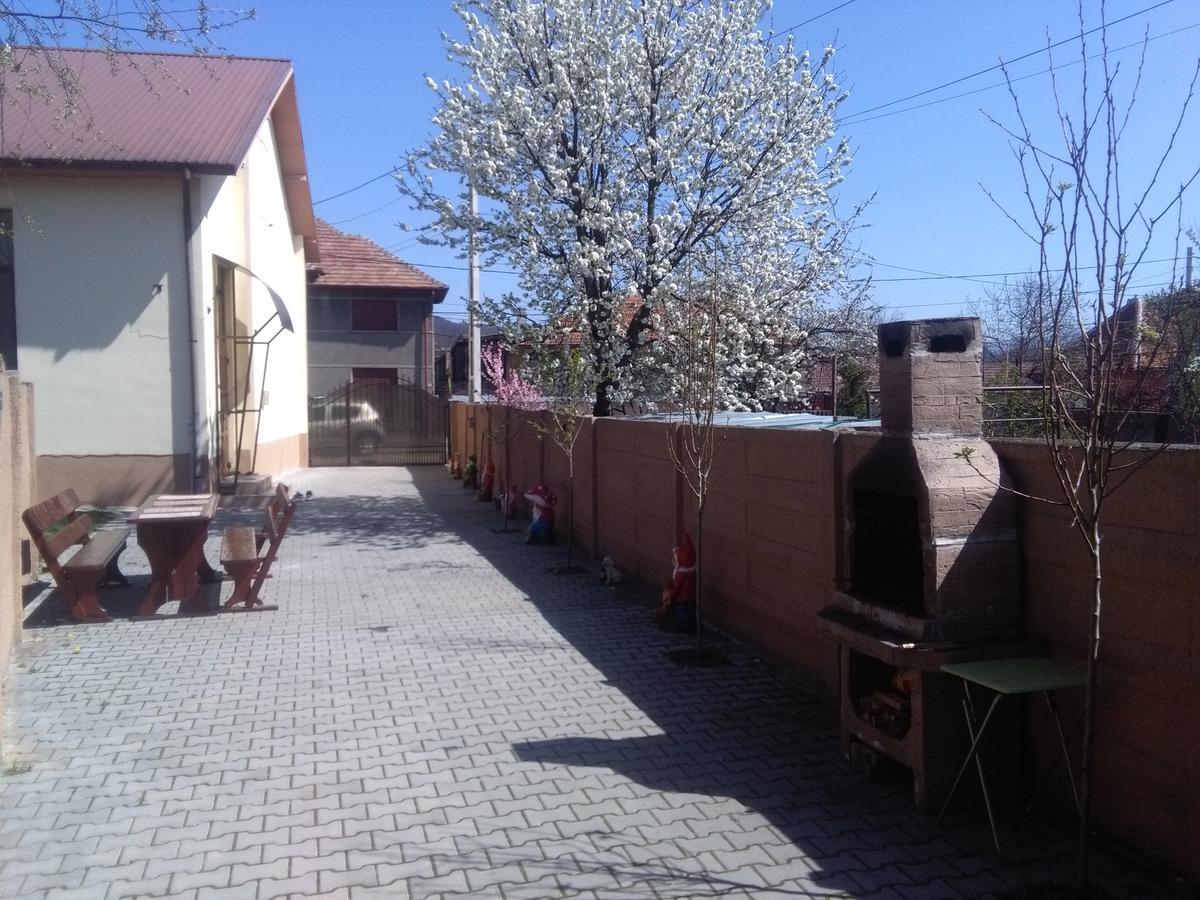 Casa Ovi Si Simo Hotel Hateg Luaran gambar
