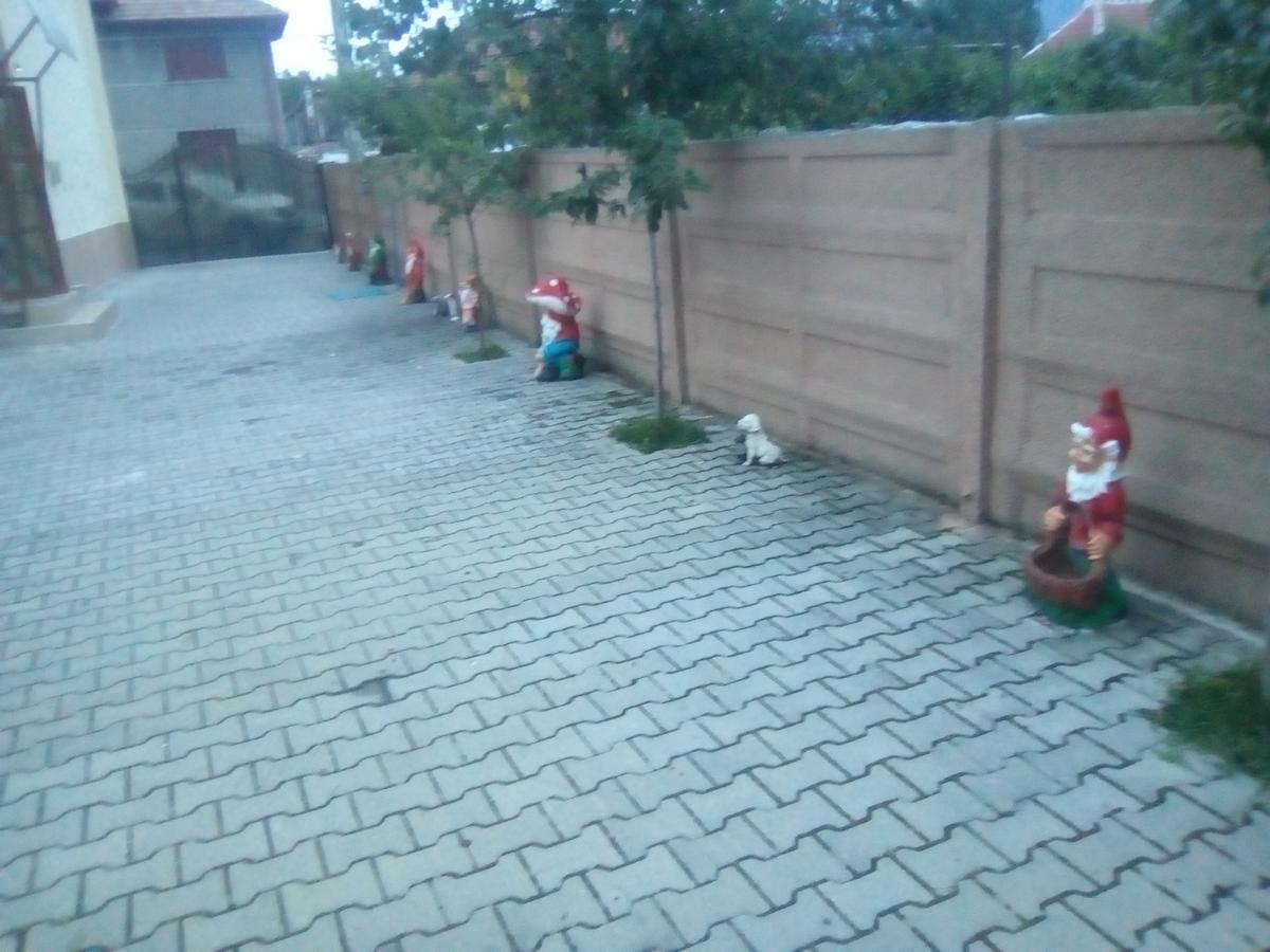 Casa Ovi Si Simo Hotel Hateg Luaran gambar