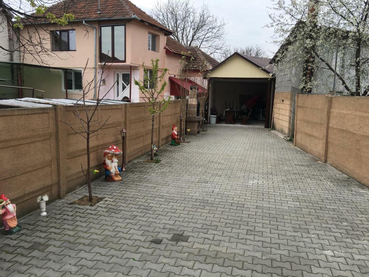 Casa Ovi Si Simo Hotel Hateg Luaran gambar