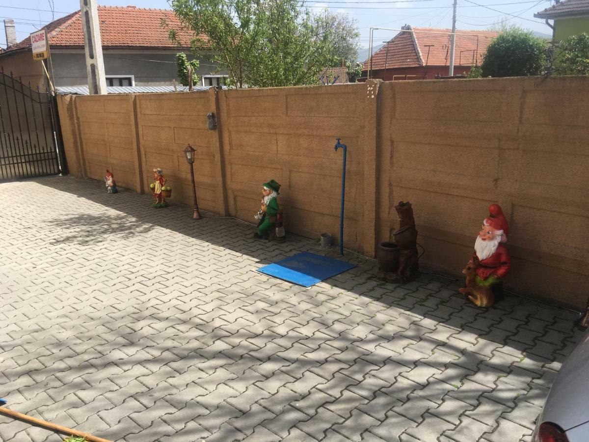 Casa Ovi Si Simo Hotel Hateg Luaran gambar