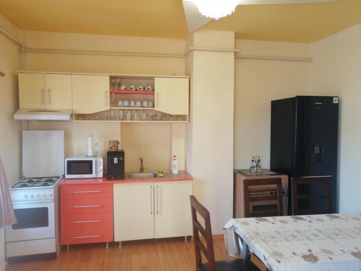Casa Ovi Si Simo Hotel Hateg Luaran gambar